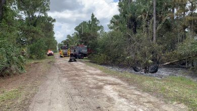 Brush fire caused by overheated lawnmower