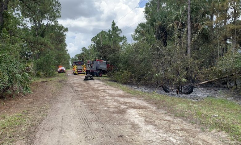 Brush fire caused by overheated lawnmower