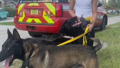 Community Recognition Coin awarded to Cape Coral boy