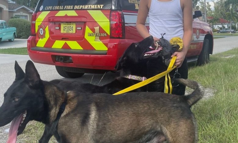 Community Recognition Coin awarded to Cape Coral boy