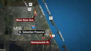 Crews tackle 50-acre Brevard County wildfire, officials say