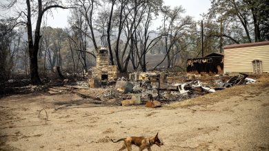 Firefighters partially surround deadly California fire