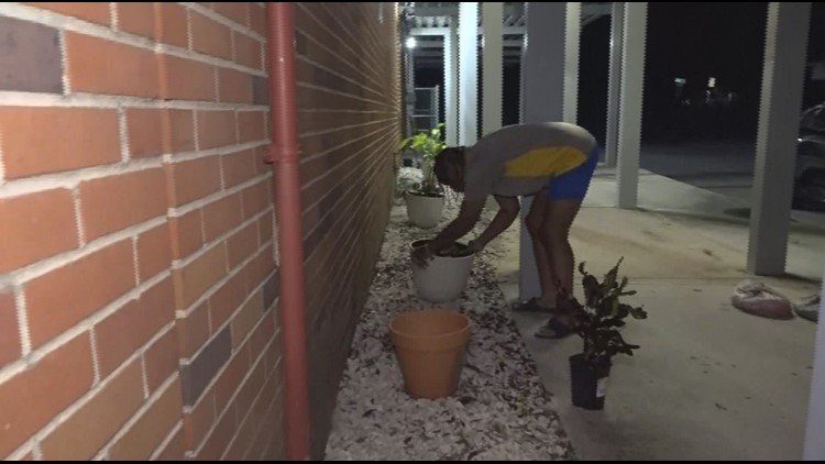 Florida bus driver replants school garden ahead of first day