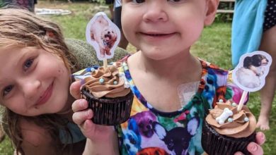 GoFundMe raises enough to send a 2-year-old battling leukemia to Disney World