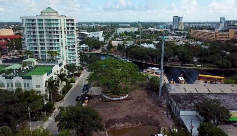 Historic Fort Lauderdale rain tree on the move