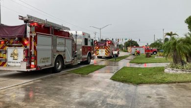 Palm trees near Cape home struck by lightning and catch fire