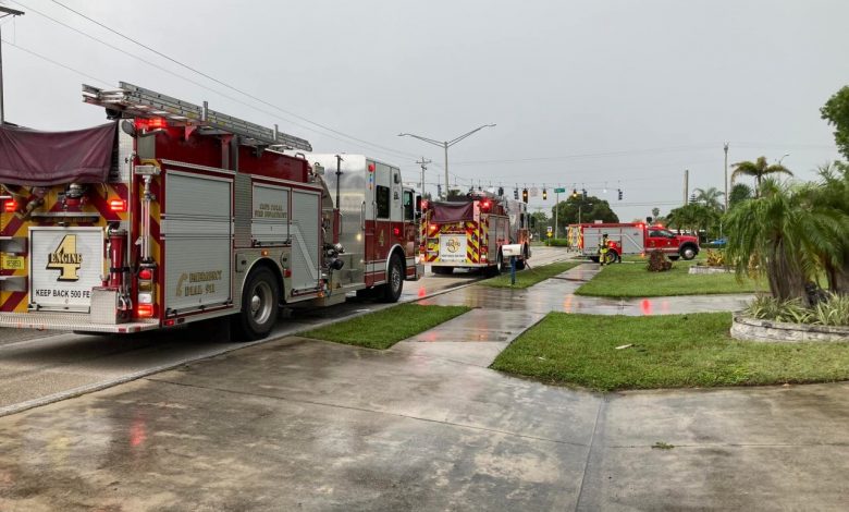 Palm trees near Cape home struck by lightning and catch fire