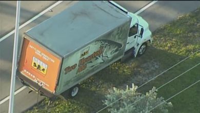 Pedestrian fatally struck by box truck in Miramar