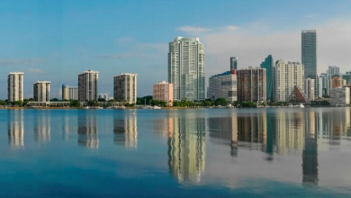 Miami business bankruptcies run against trend