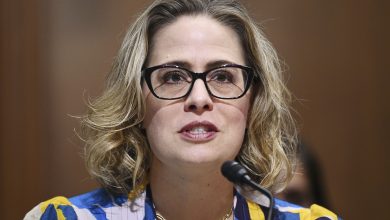 Sinema took Wall Street money while killing tax on investors