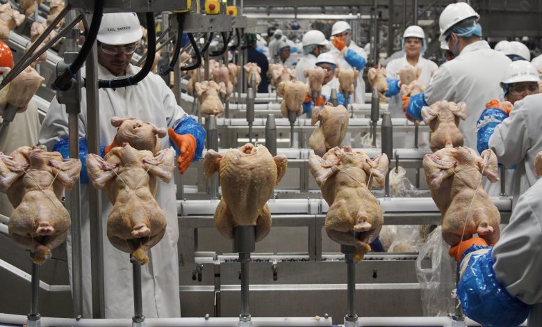 USDA getting tougher on salmonella in chicken products