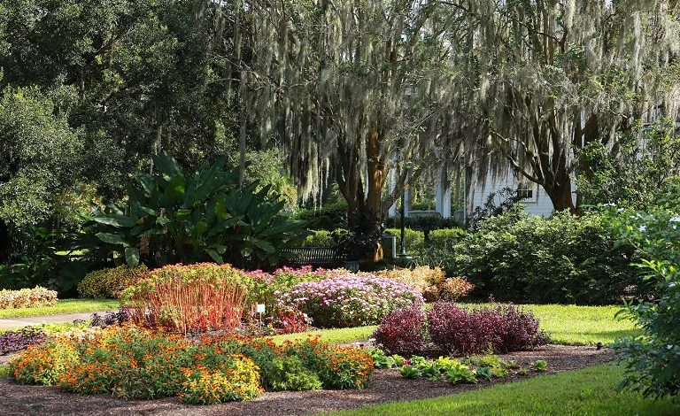 Visit Leu Gardens, one of the most beautiful horticultural spaces near Orlando’s downtown area