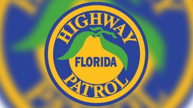 Woman fatally struck by several vehicles near Mile Marker 258 in Orlando