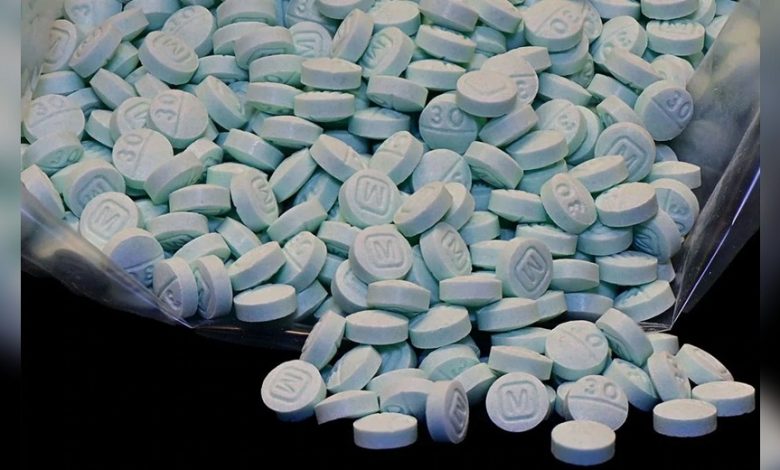 Authorities say fentanyl contributed to thousands of deaths in Florida